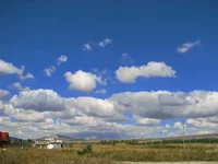 Picture 016.webp