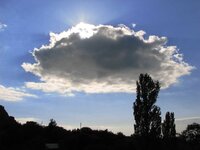 Picture 133.jpg