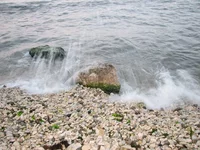 Picture 710.webp
