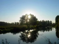 DSCN218920060917_1.webp