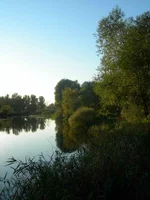 DSCN219120060917_1.webp