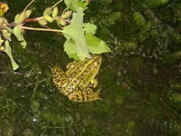 DSCN222020060917_1.webp