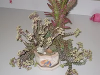 IMG_0812.webp