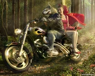 vetton_ru_277.webp