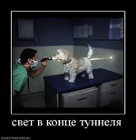 24.webp