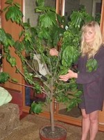 IMG_0438 (2).webp