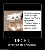  маленький.webp