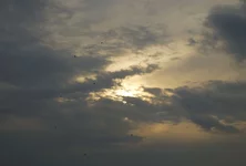 Roof_sm_435_.webp