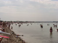 DSC00904.webp