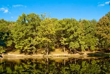 DSC_0046.webp