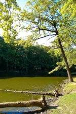 DSC_0056.webp