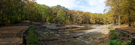 [Group 2]-DSC_0049_resize_DSC_0051_resize-2 images.webp