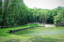 DSC_0001.webp