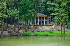 DSC_0003.webp