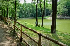 DSC_0005.webp