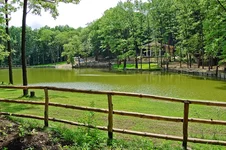 DSC_0057.webp