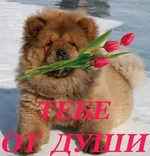 __65533_(2)[1][1].webp