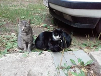 20150819_124755.webp