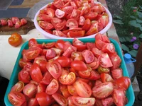IMG_4190.webp