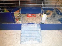 IMG_20150826_195811.webp