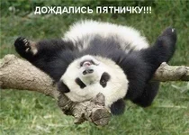RCv7wwRGpHI.webp