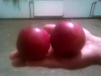 DSC_2267.webp