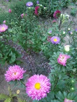 DSC08672.webp