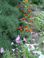 DSC08660.webp