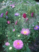 DSC08702.webp