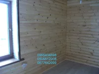 DSCF5116.webp