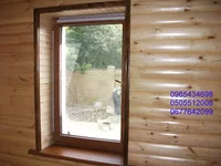 DSCF5117.webp
