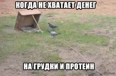 3ogi3g832sQ.webp