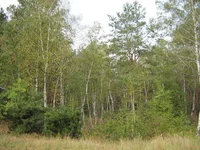 IMG_7550_1.jpg