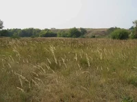 IMG_7562_1.jpg