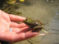 IMG_7583_1.webp
