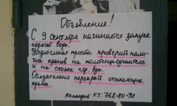IMAG2236.jpg