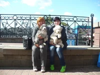 P1150793 2.webp