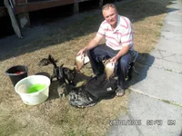 SAM_1649.webp