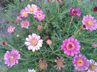 P_20150912_160915.webp