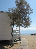 IMG_8404 (Medium).jpg