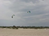 IMG_8500 (Medium).webp