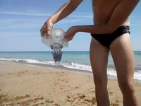 20150826134128.jpg