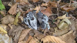 DSC_0148.jpg