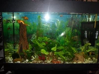 SAM_1062.webp
