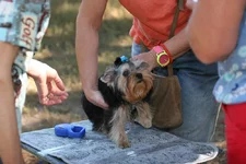IMG_2322.webp
