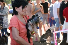 IMG_2319.webp