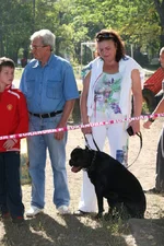 IMG_2323.webp