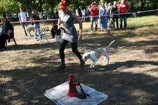 IMG_2285.webp