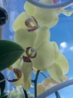 image.webp