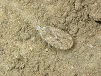CRW_7859.webp